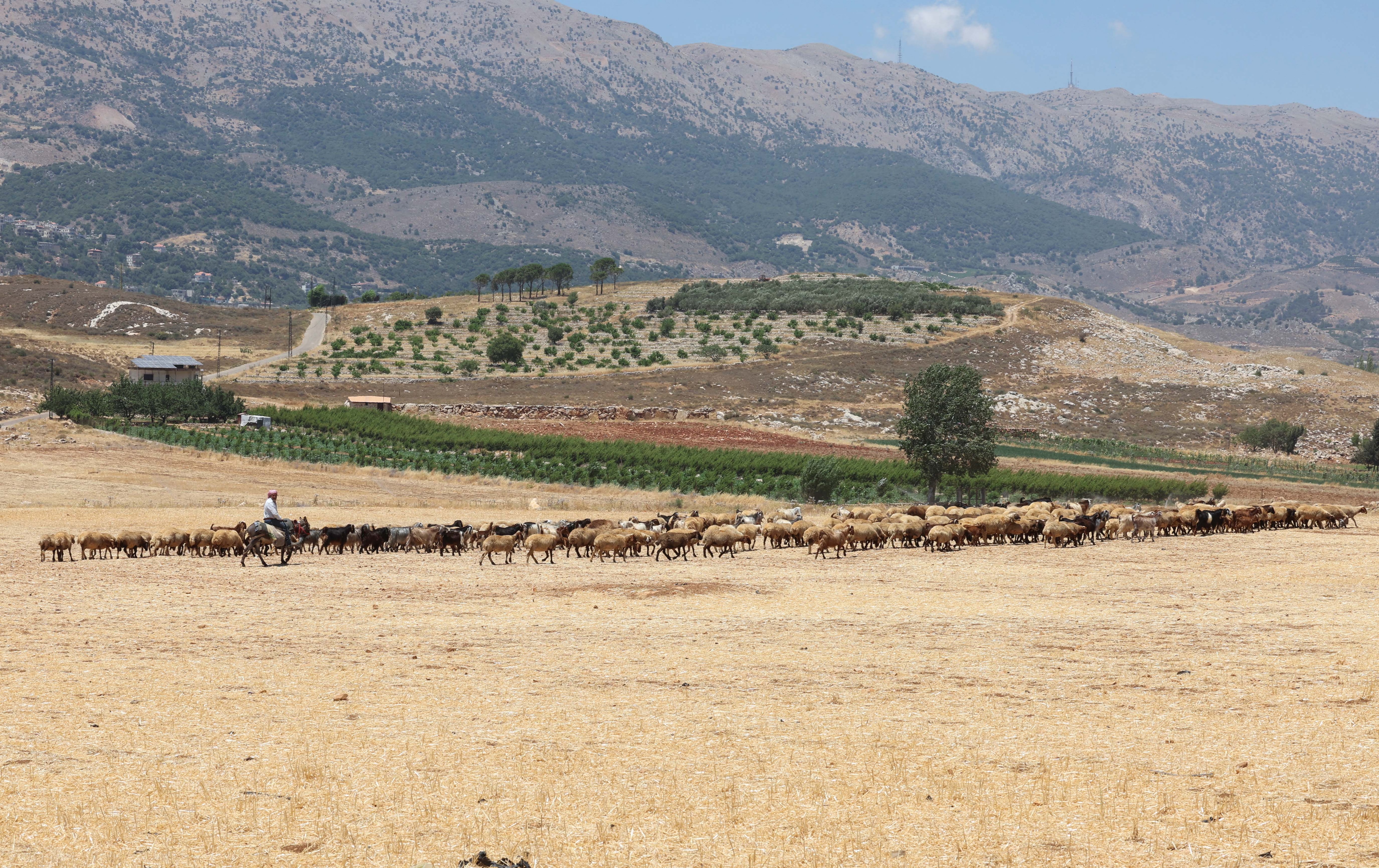 lebanon drought water shortage