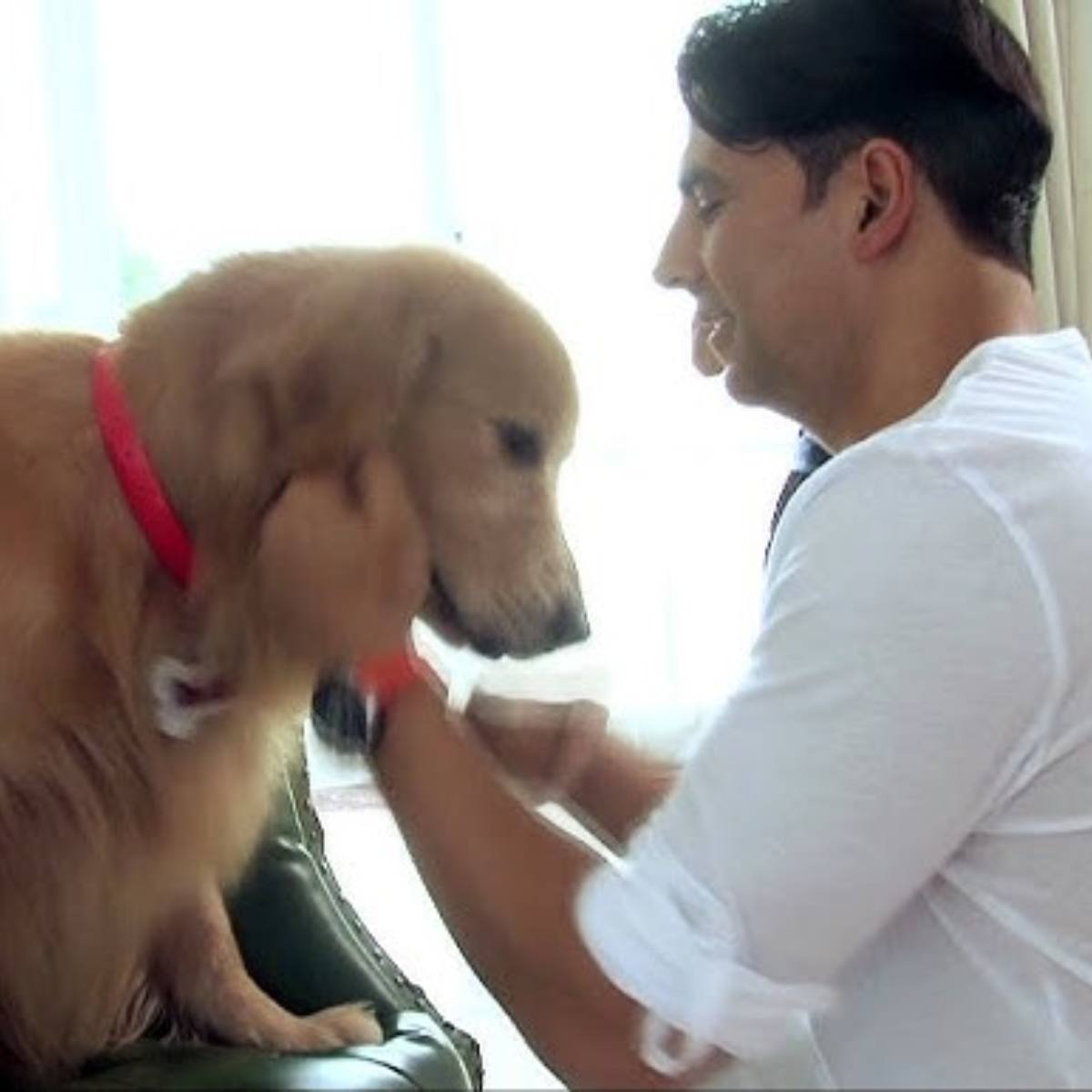 'एंटरटेनमेंट' (Photo: YT/Pen Movies)