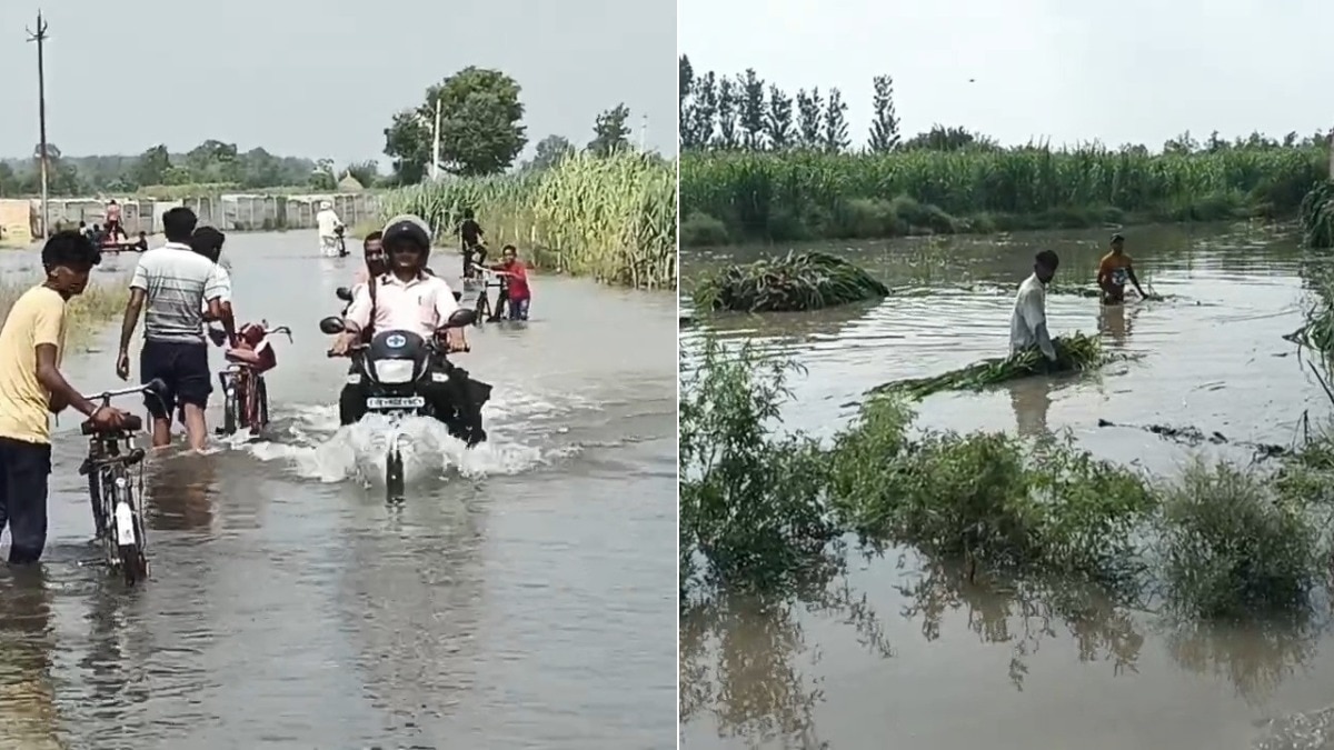 Flood-Rain in Uttar Pradesh