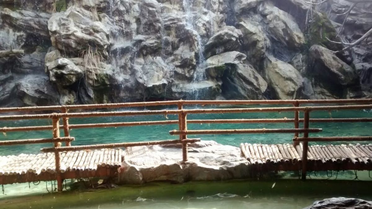 Places to visit near Bengaluru