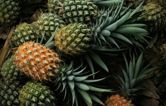 अनानास (photo: pixabay)
