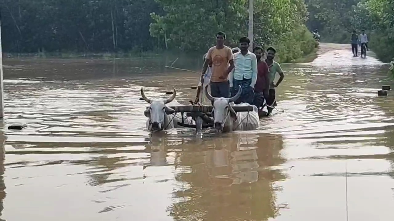 Moradabad-Hapur Heavy Rains (Photo-ANI)