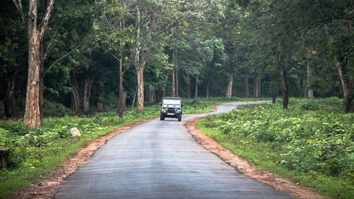 Nagarhole National Park, Karnataka