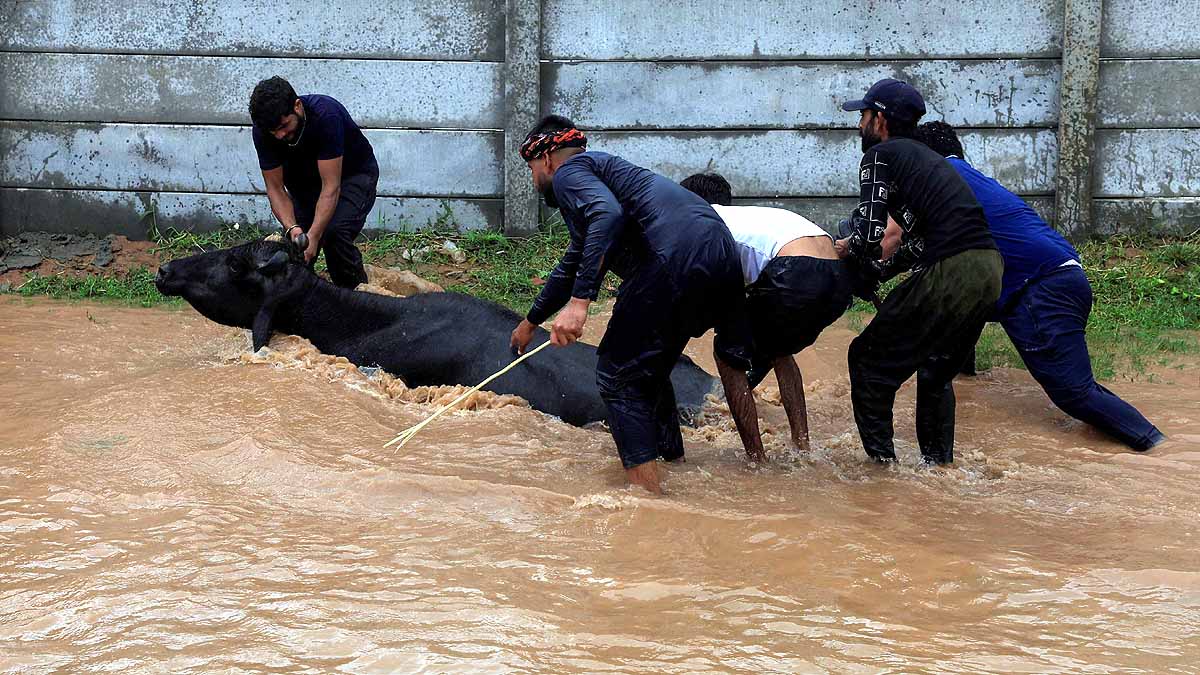 pakistan floods