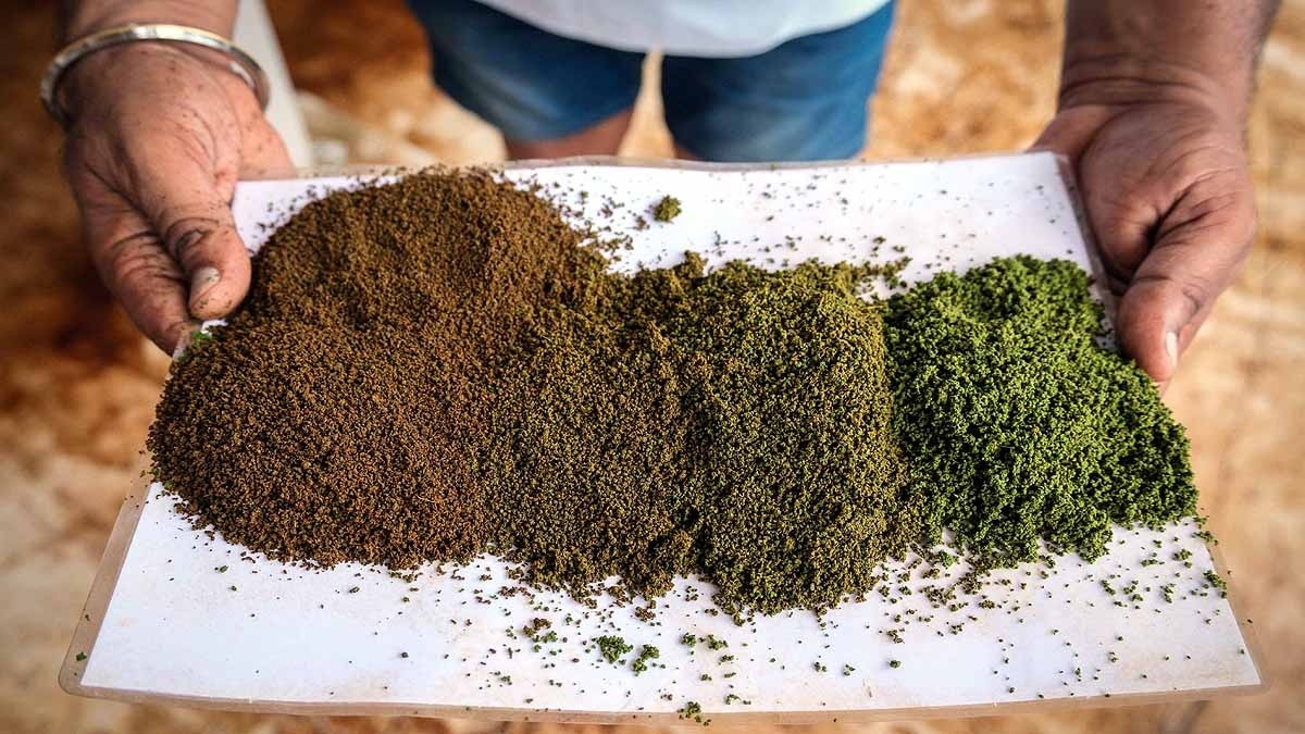 Climate change Tea Production