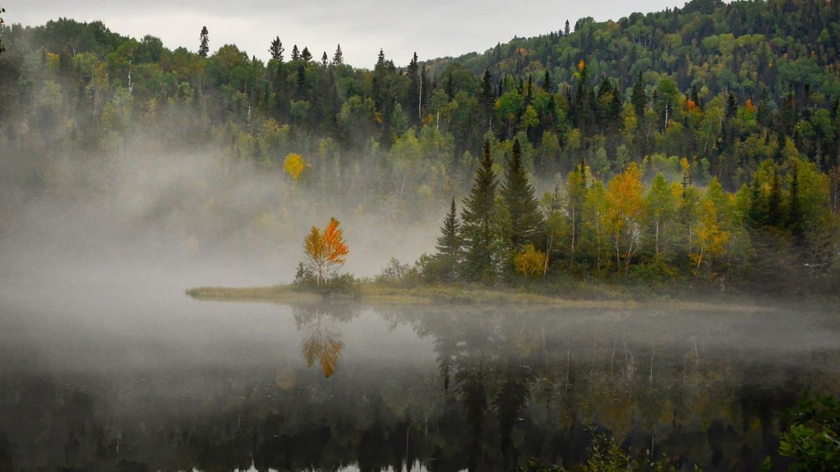 Few countries celebrate fall quite like Canada