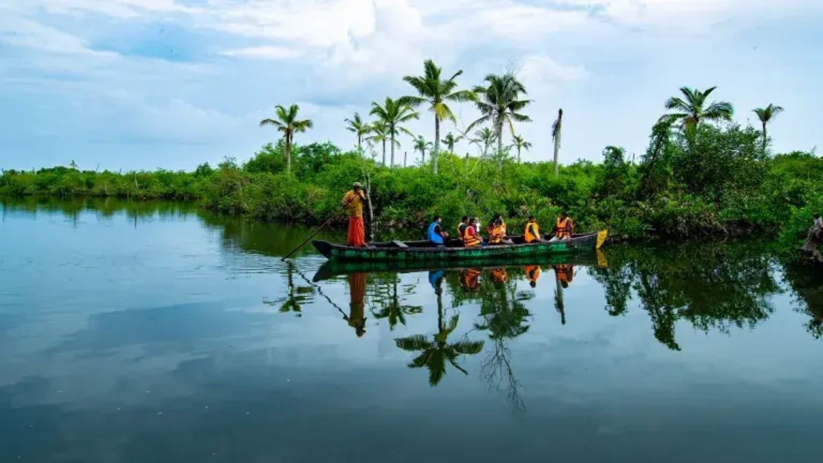 Kerala is famous for its backwaters