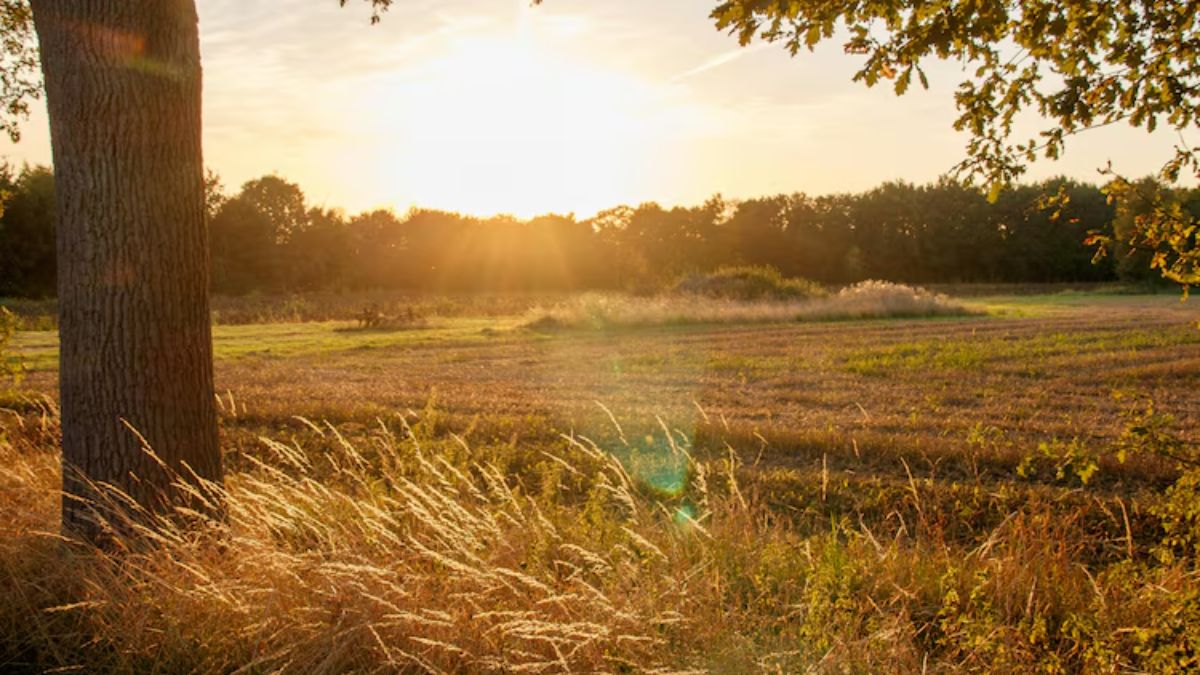 Global rural tourism