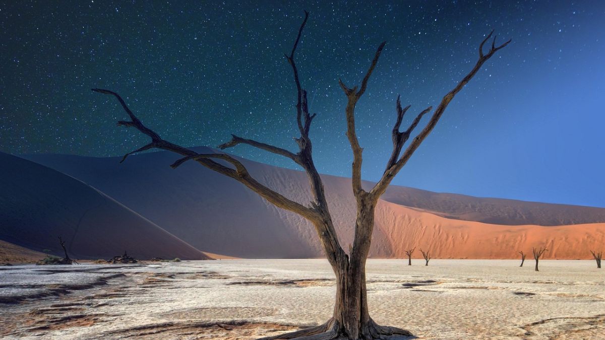 Thar desert experiences