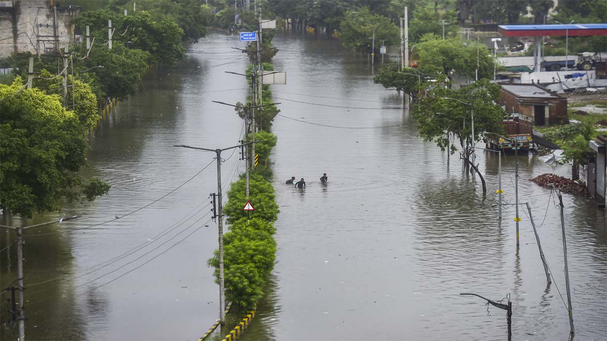 flood in Punjab (PTI Photo)