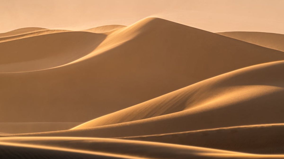 The Great Victoria Desert