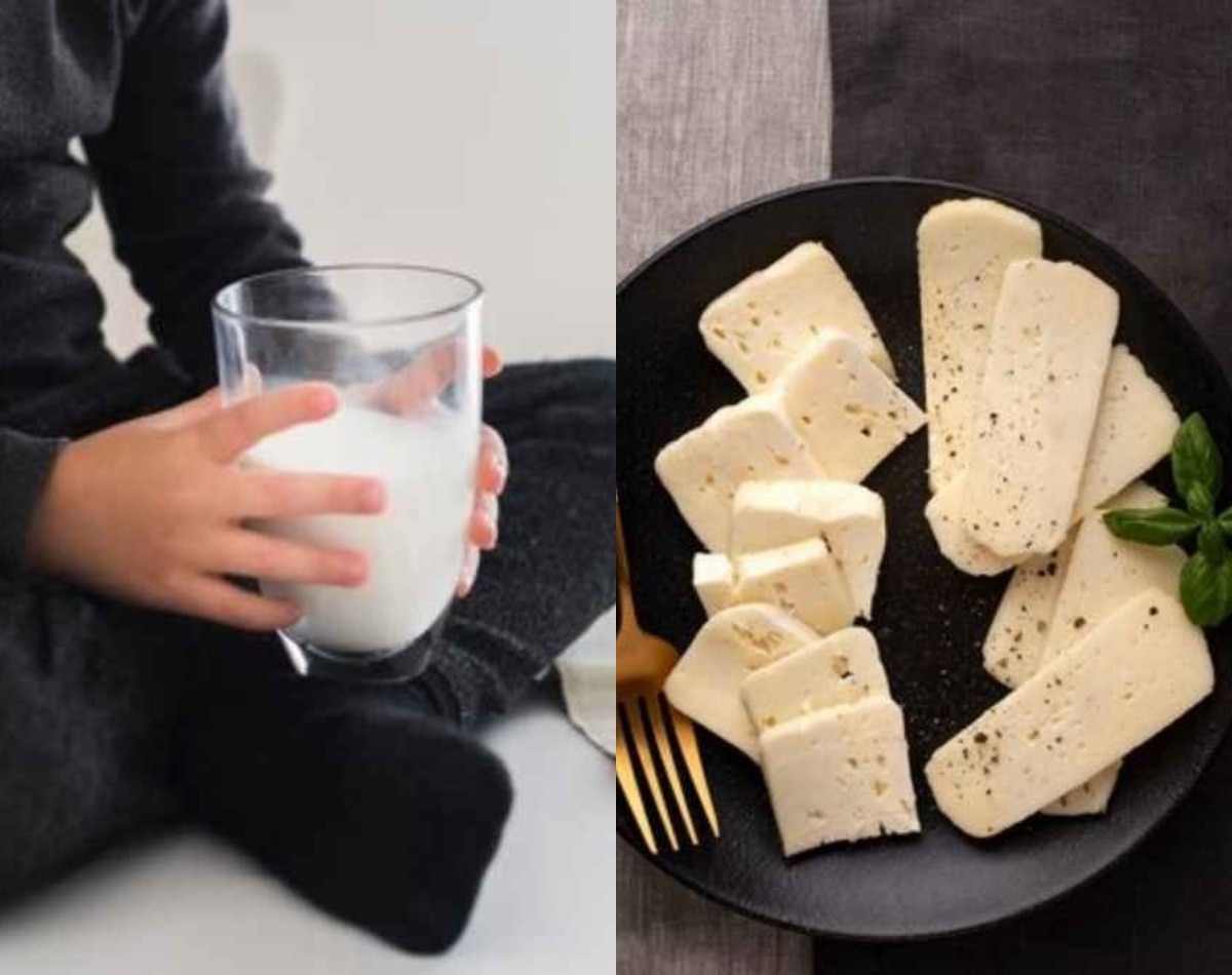 दूध-पनीर '0' जीएसटी: