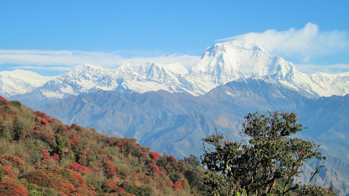 Himalayan peaks