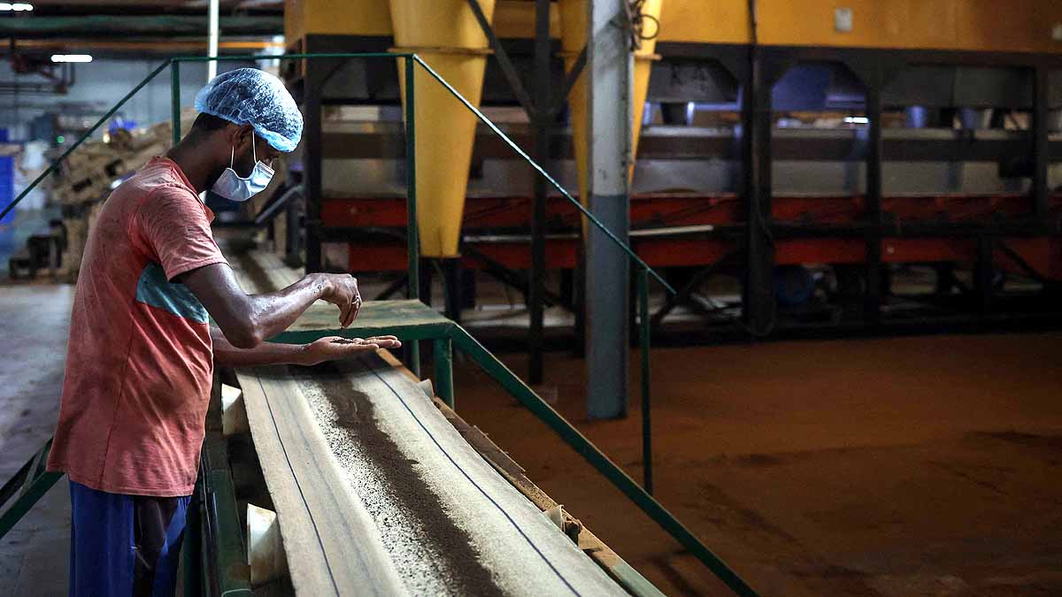  Climate change Tea Production