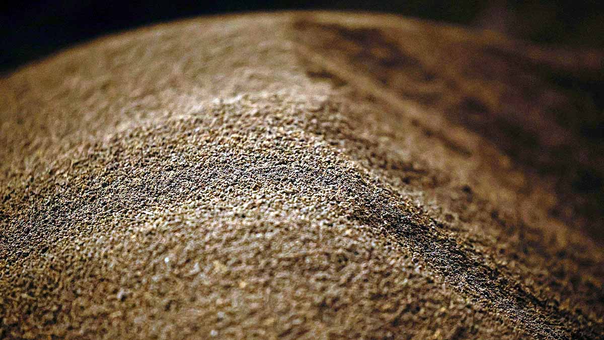  Climate change Tea Production