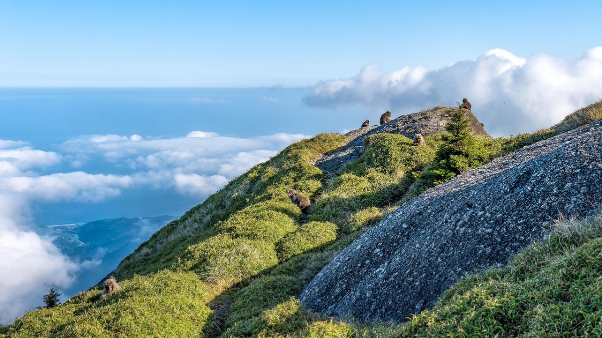 Japan in October is a feast for the senses