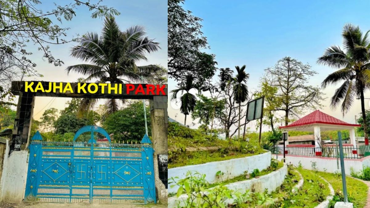 A peaceful spot for family time and birdwatching