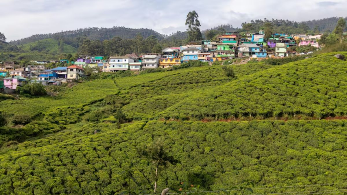  Western Ghats of Kerala