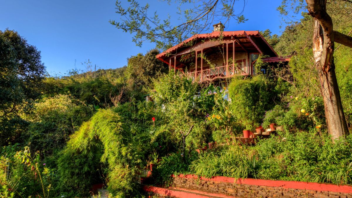 A haven for birdwatchers and nature lovers at Pangot