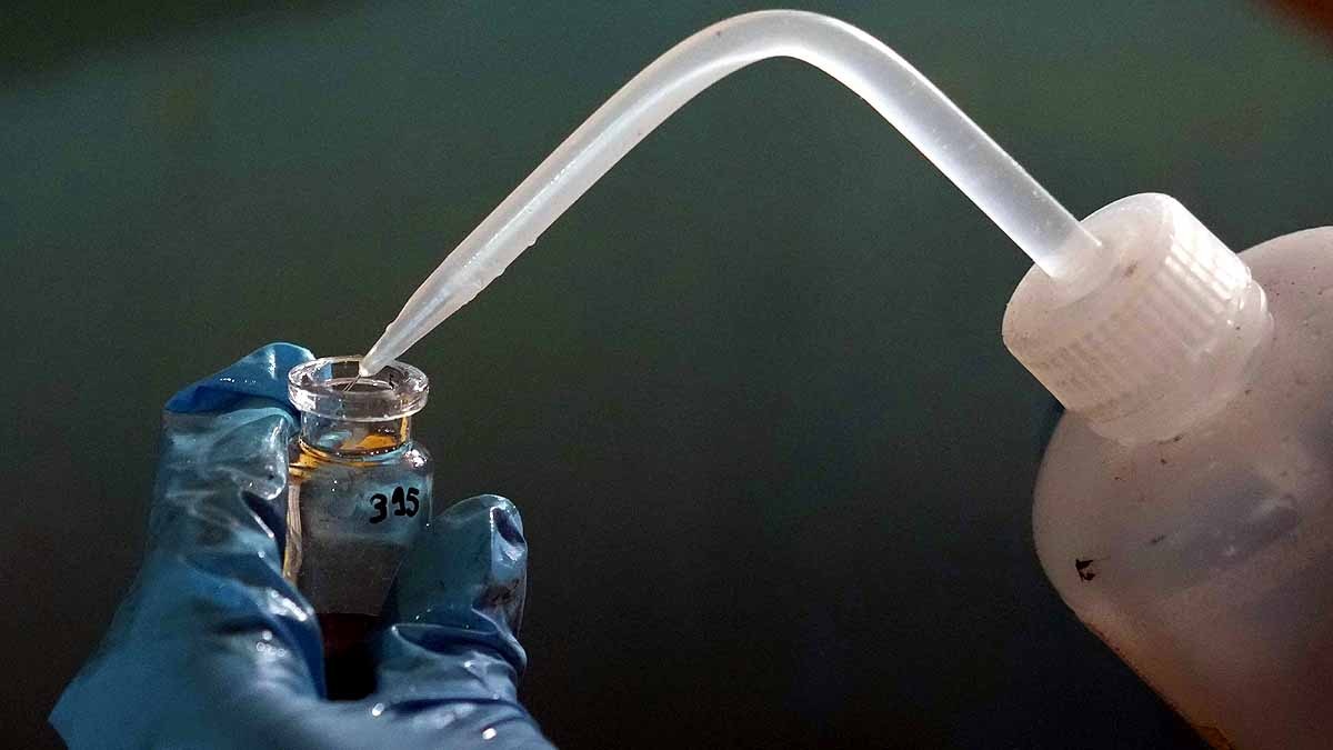 Sweet Water Found in Ocean