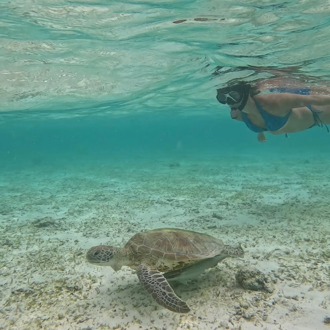 Ananya Panday Bikini Look