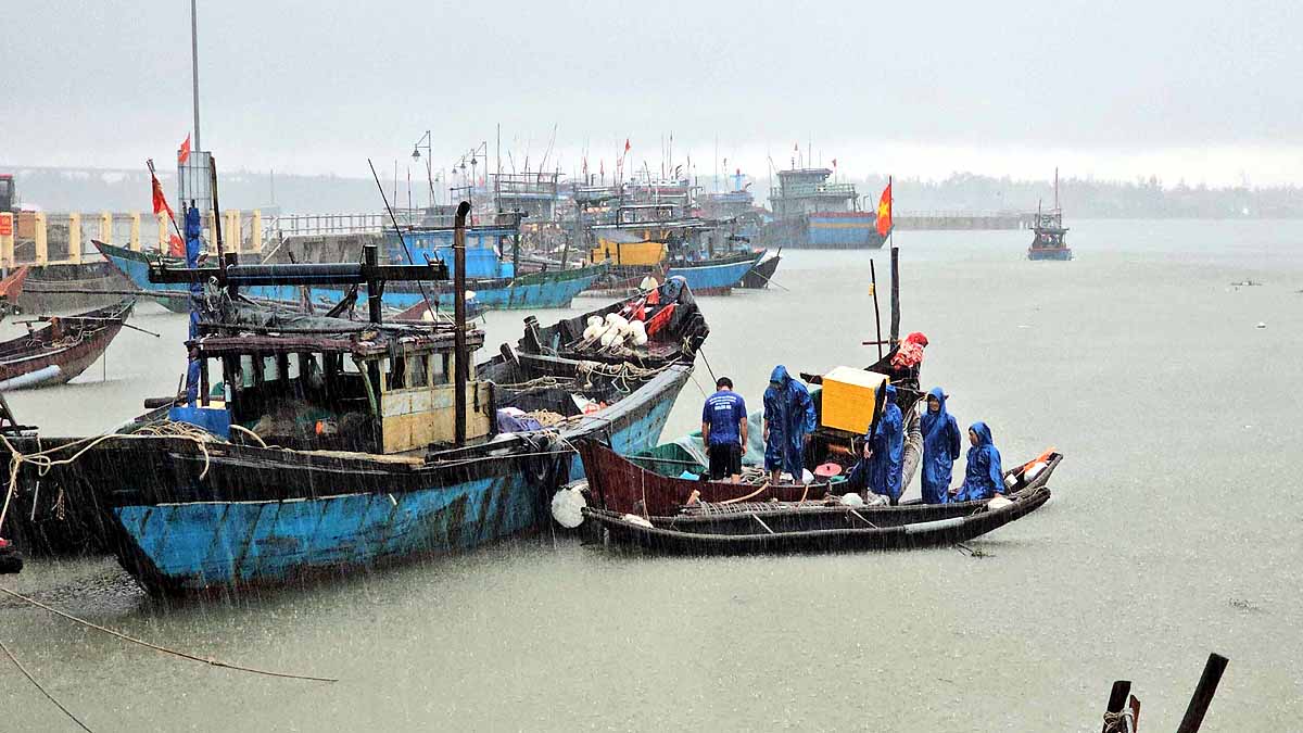 Typhoon Bualoi Vietnam
