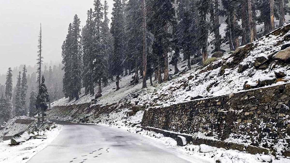 Severe Cold in India