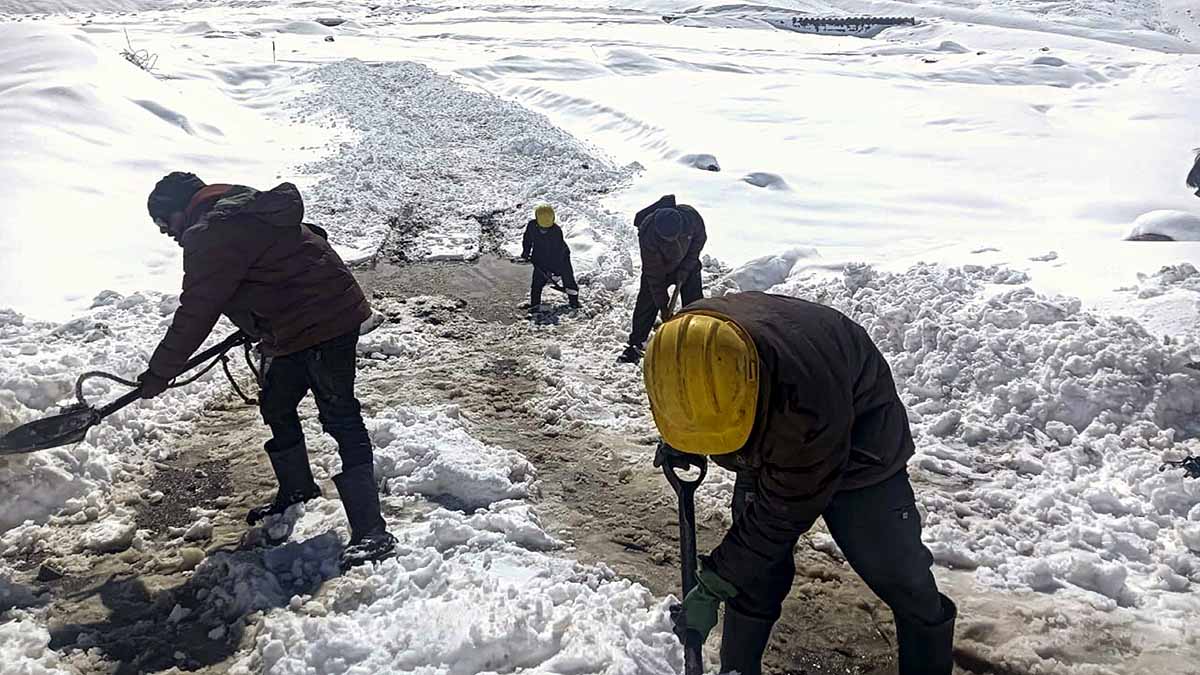 Severe Cold in India