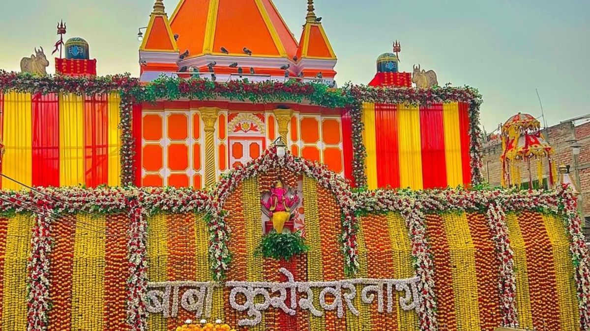 A haven for migratory birds from Siberia