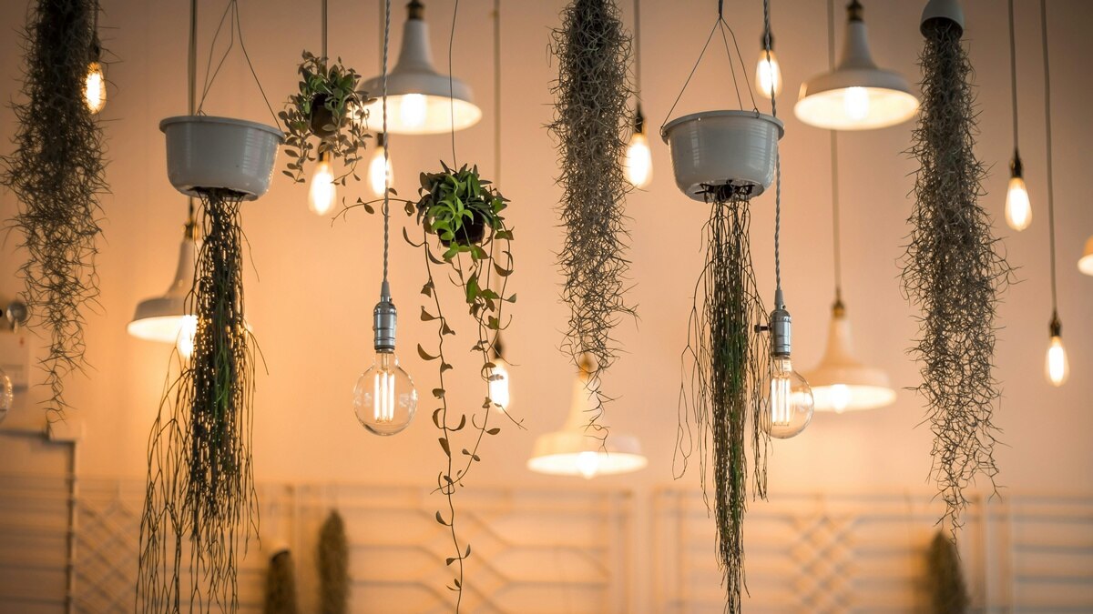 रिचार्जेबल बल्ब भी मौजूद 