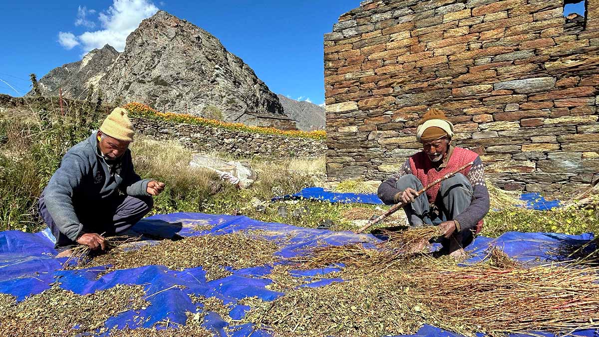 Martoli Village Uttarakhand