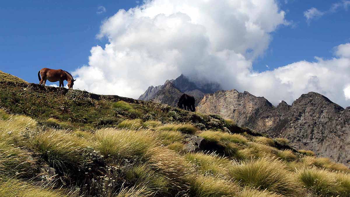 Martoli Village Uttarakhand