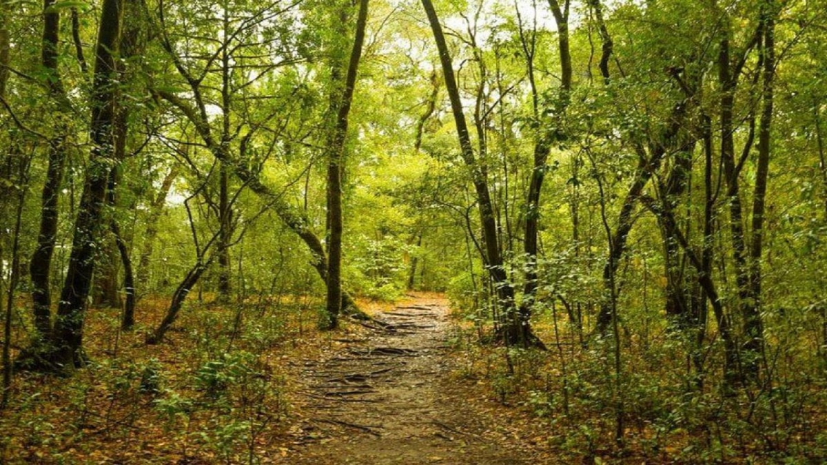 Unique villages India