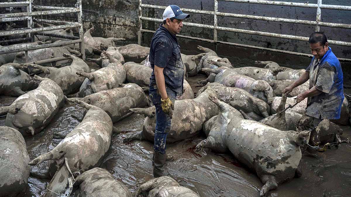 Mexico Floods Landslide