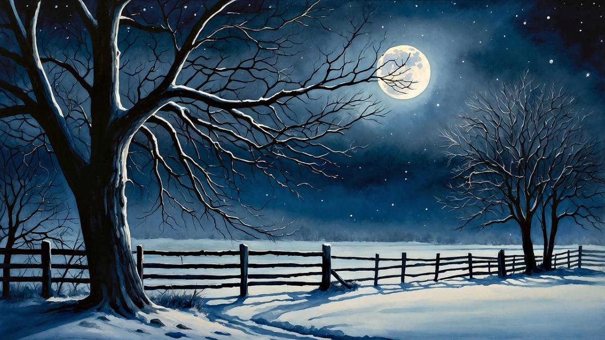 Moonlit desert at Kachh