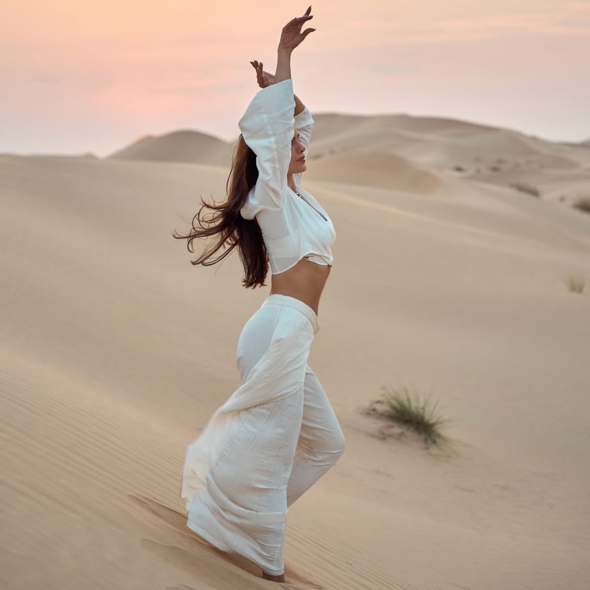 नताशा स्टेनकोविक