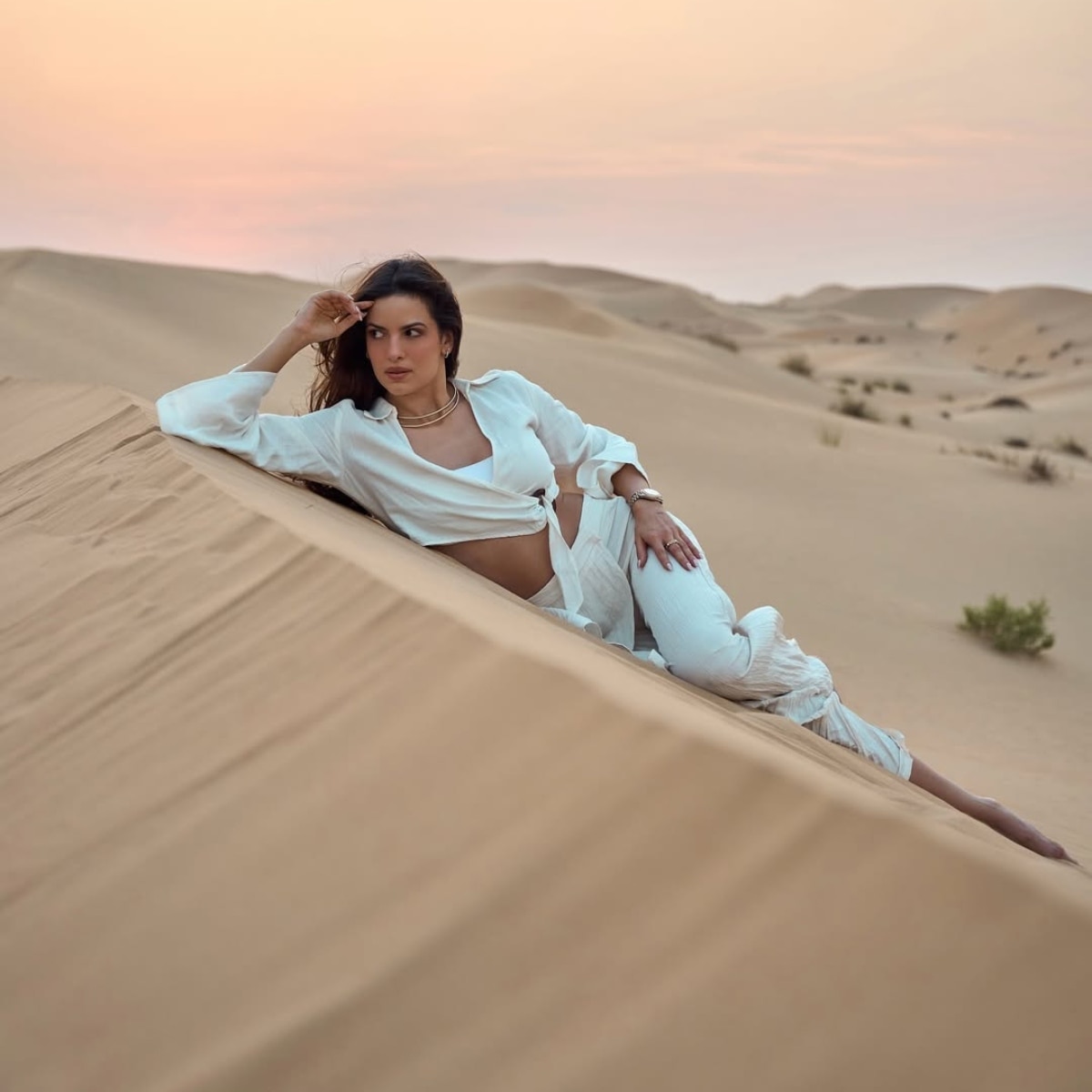 नताशा स्टेनकोविक