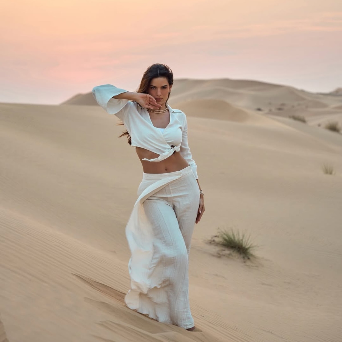 नताशा स्टेनकोविक