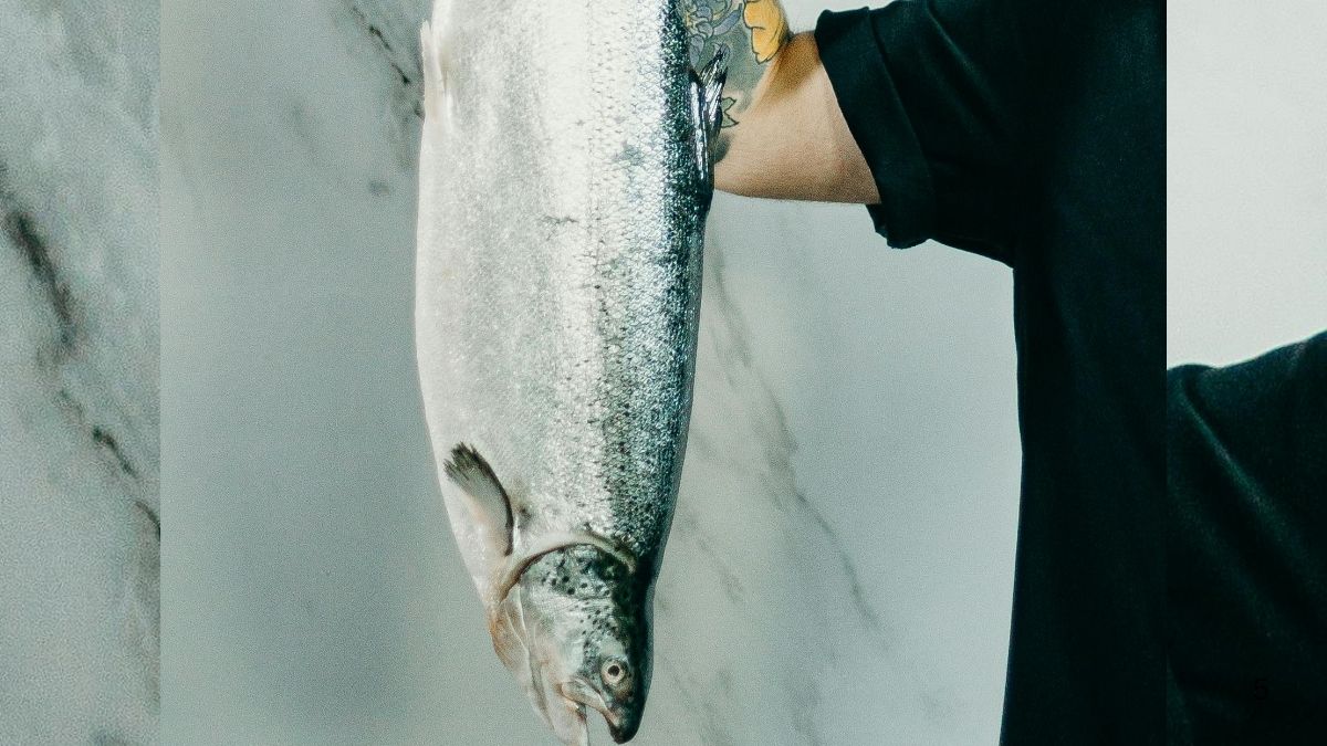 Doomsday fish found in Tamil Nadu