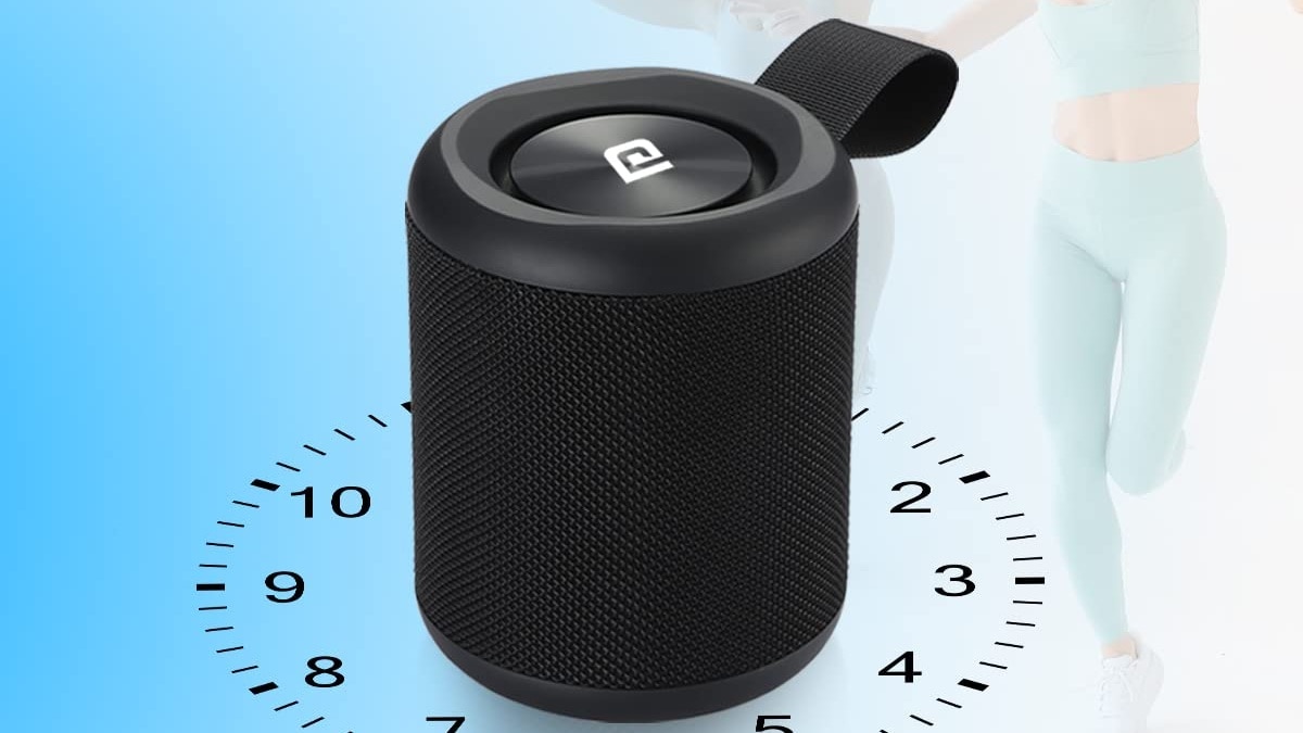 portable speaker Portronics 