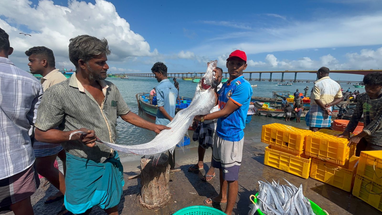 Doomsday fish found in Tamil Nadu