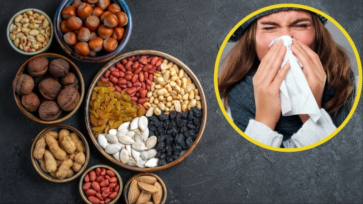 dry fruits for winters