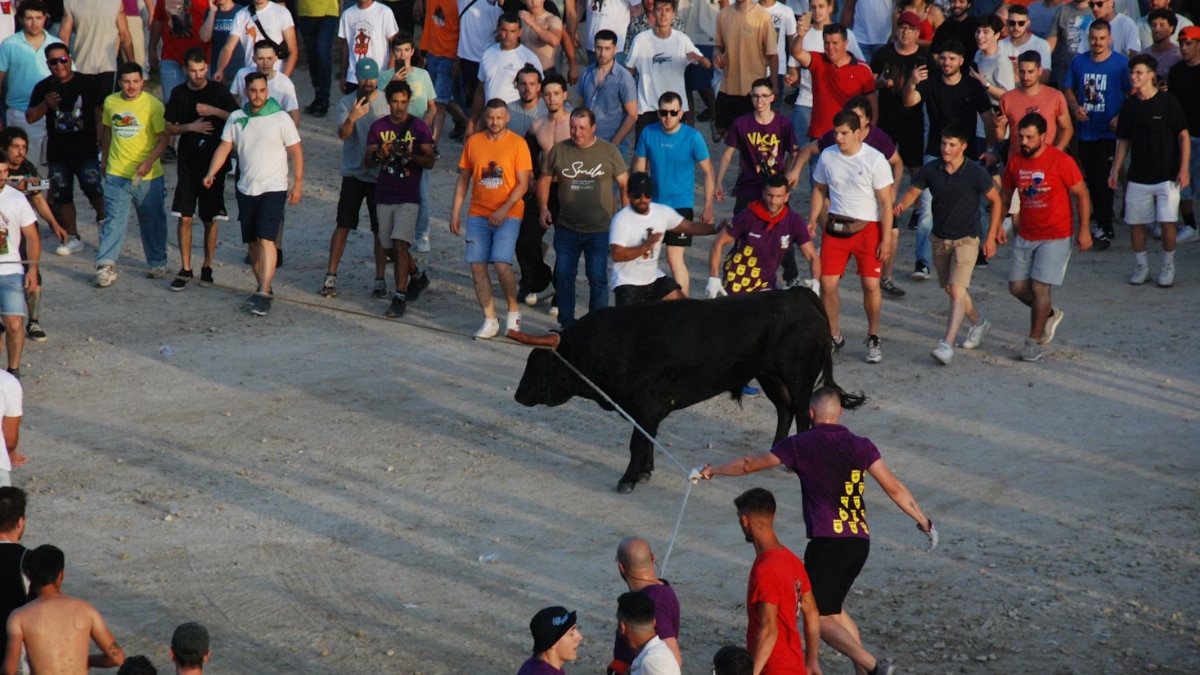 Pamplona Bull Run