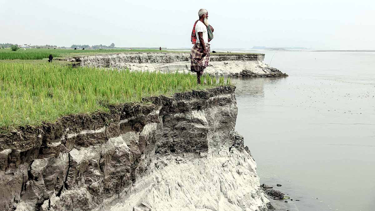 Brahmaputra Swallow Bangladesh
