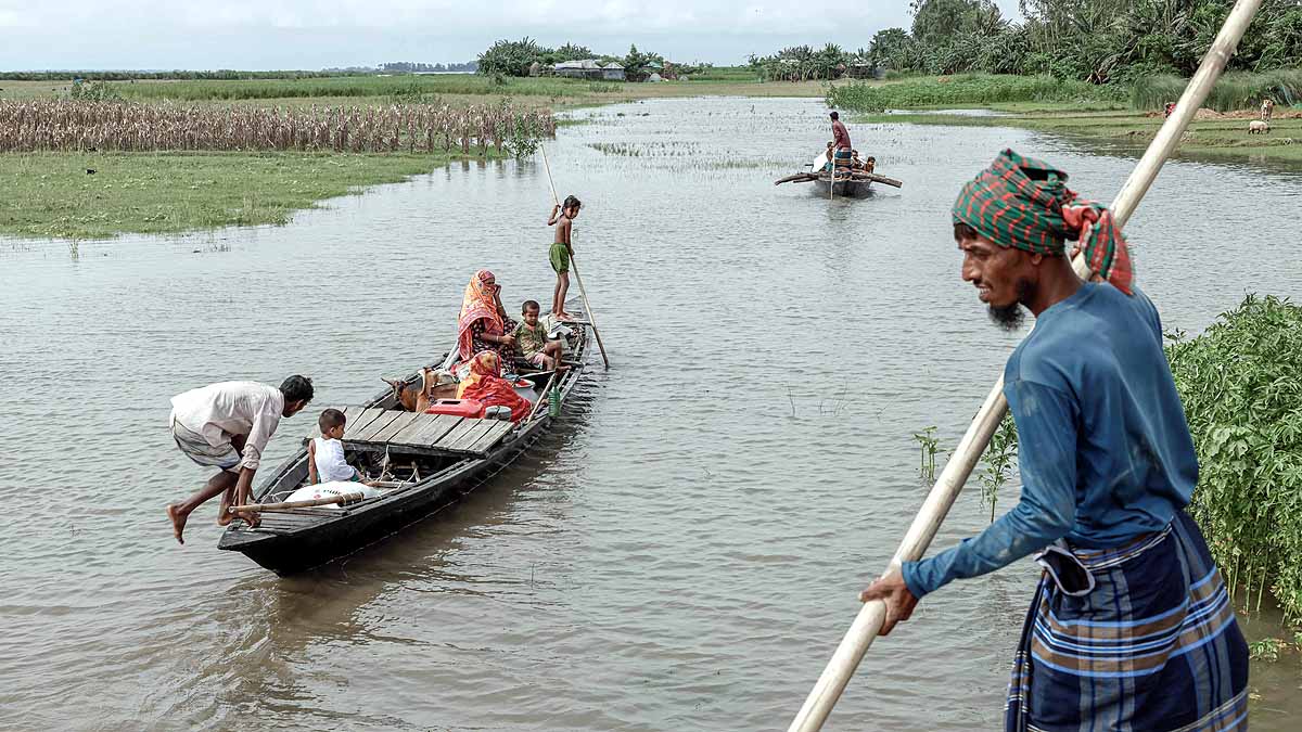 Brahmaputra Swallow Bangladesh