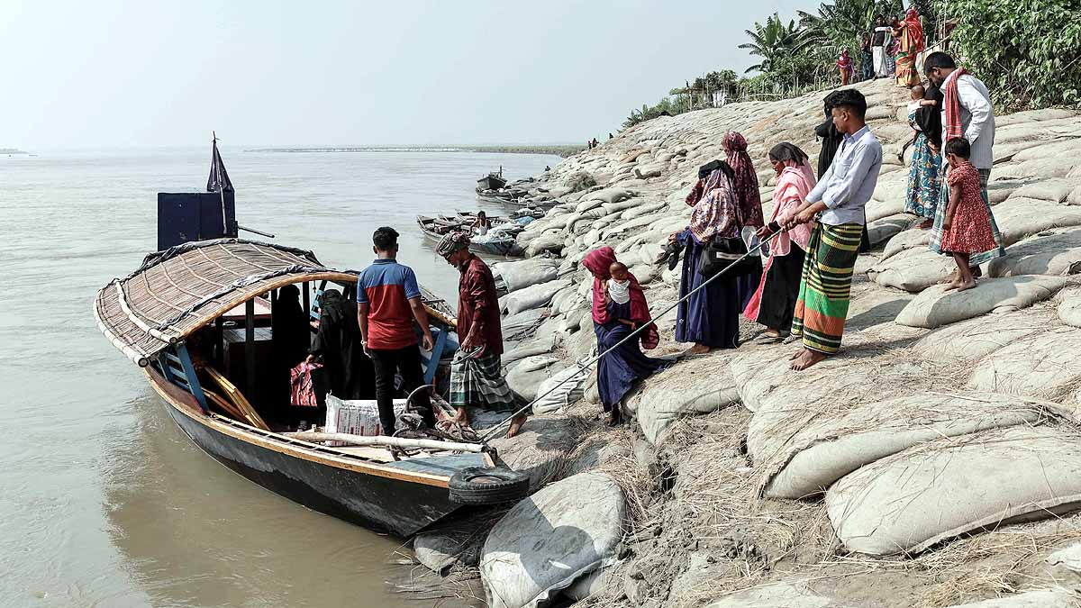 Brahmaputra Swallow Bangladesh