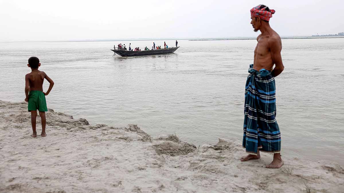 Brahmaputra Swallow Bangladesh
