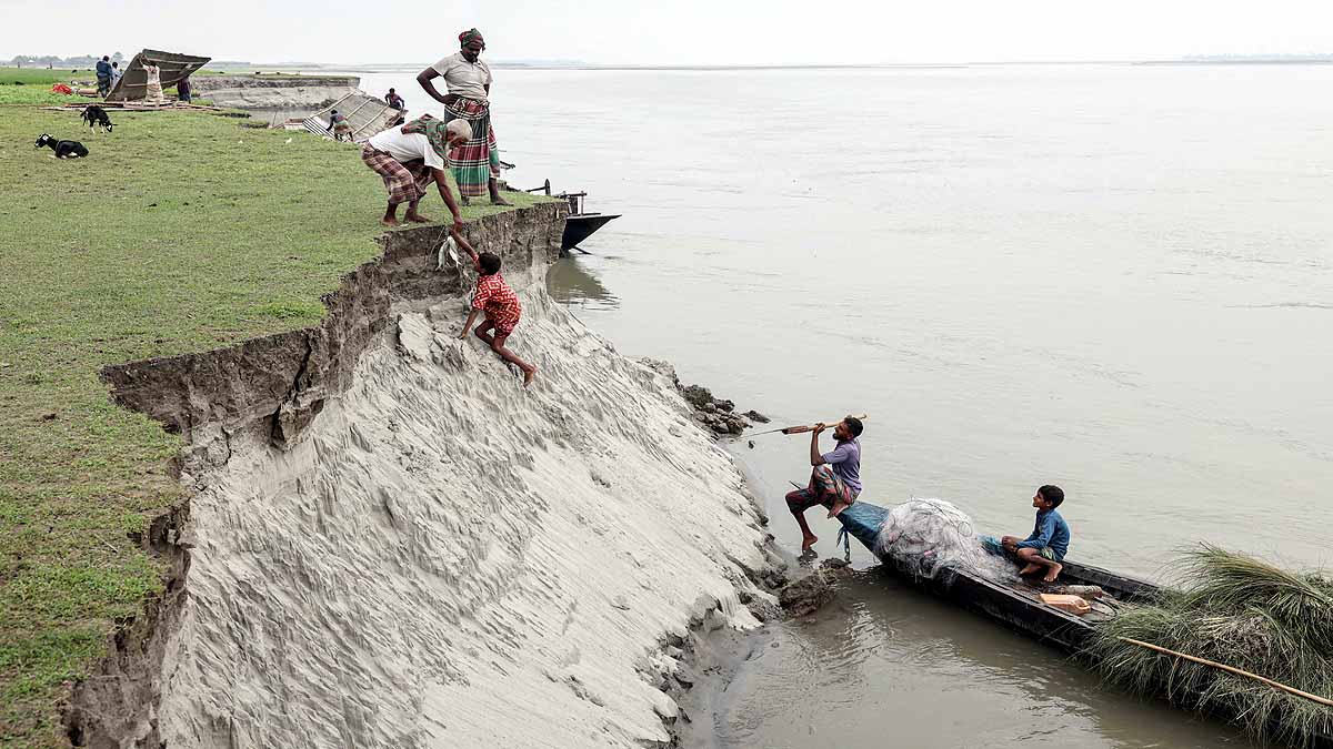 Brahmaputra Swallow Bangladesh