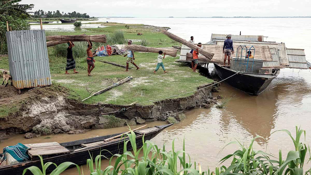Brahmaputra Swallow Bangladesh