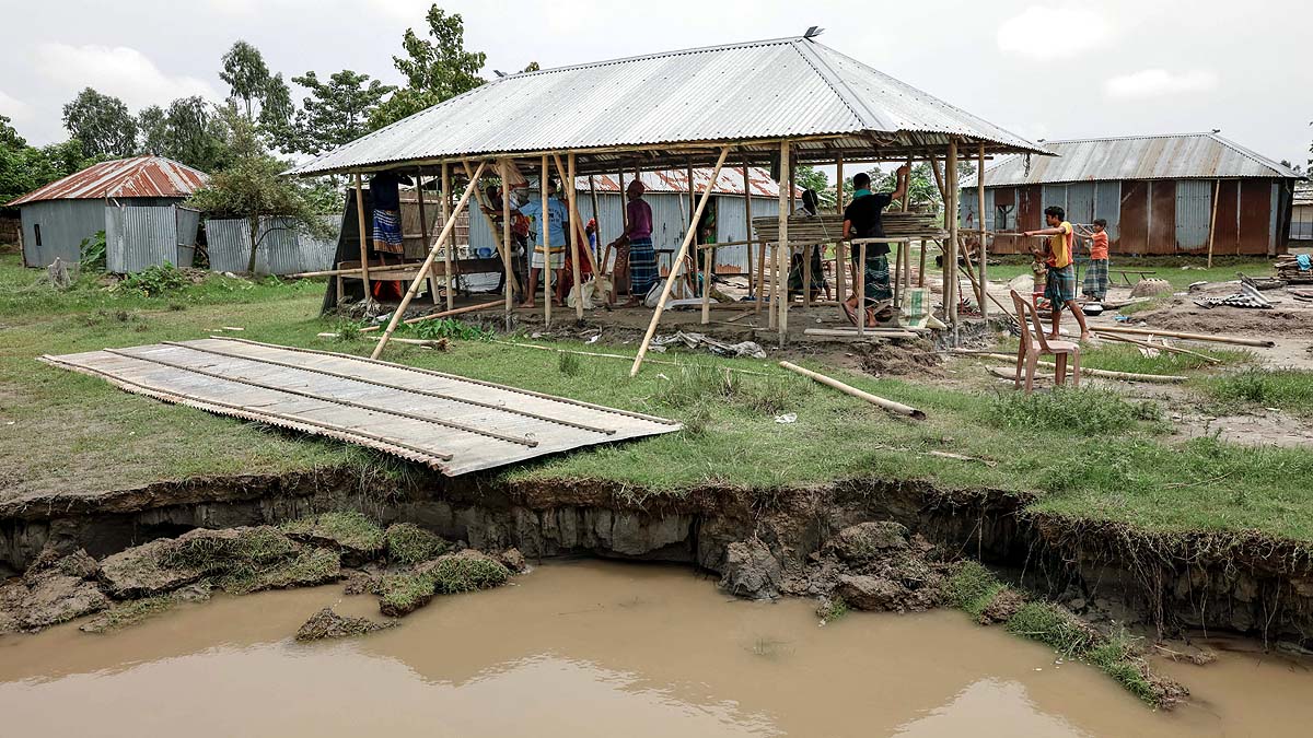 Brahmaputra Swallow Bangladesh